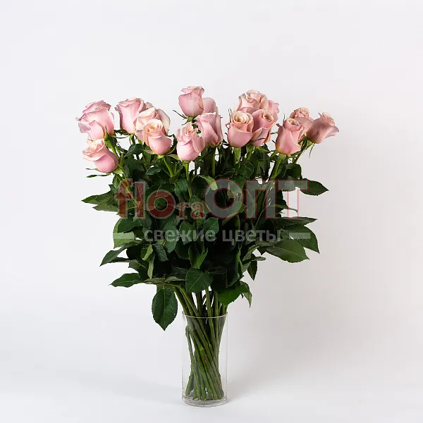 Роза Микс 70 см — фото 7