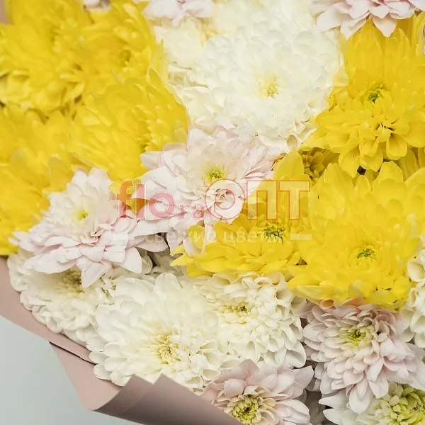 Букет № 527 с кустовой хризантемой  — фото 3