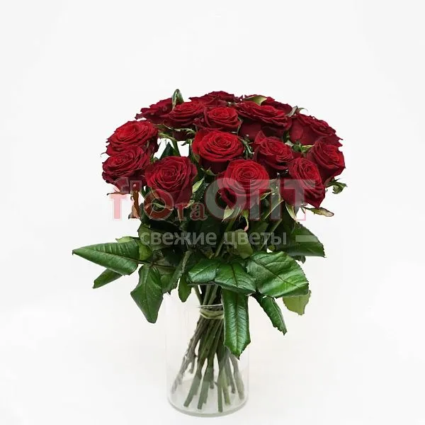 Роза Гран При 50 см — фото 2