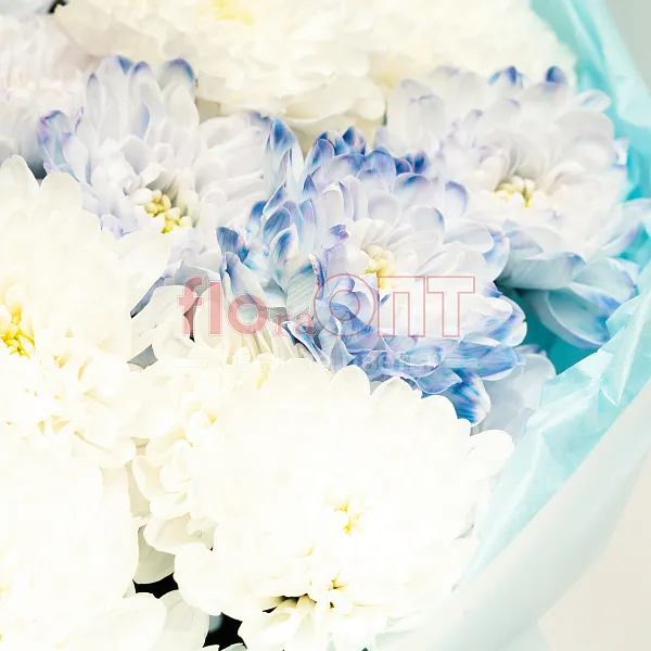 Букет № 531 с синей хризантемой  — фото 5