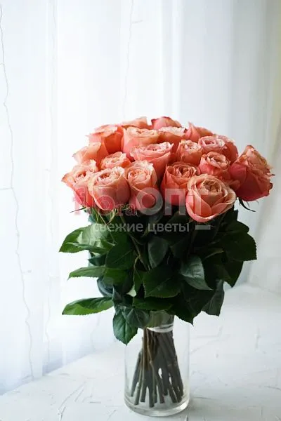 Роза Микс 50 см — фото 4