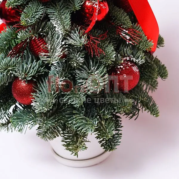 Новогодняя композиция № 26  — фото 4