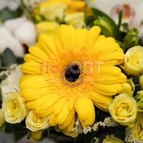 Композиция № 33 в бумажном пакете с желтыми герберами  — фото 3