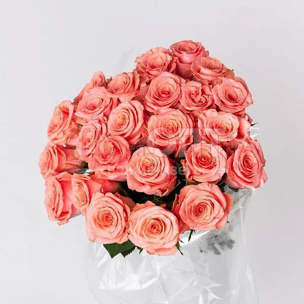 Роза Микс 60 см — фото 4