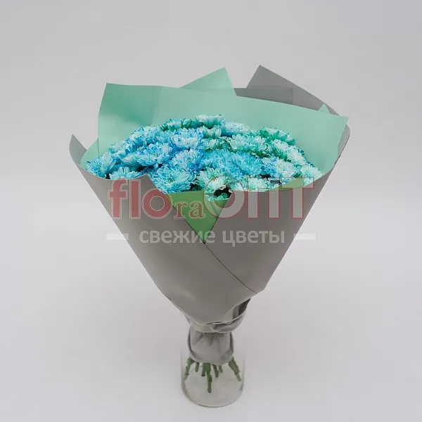 Букет № 122 из крашенной кустовой хризантемы  — фото 1