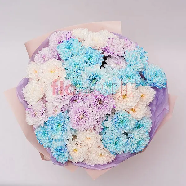 Букет № 555 из крашеных кустовых хризантем  — фото 3