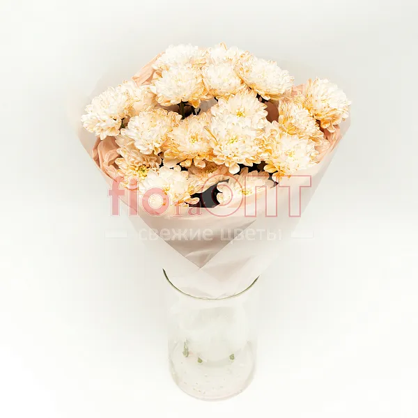 Букет № 534 с крашеной хризантемой  — фото 1