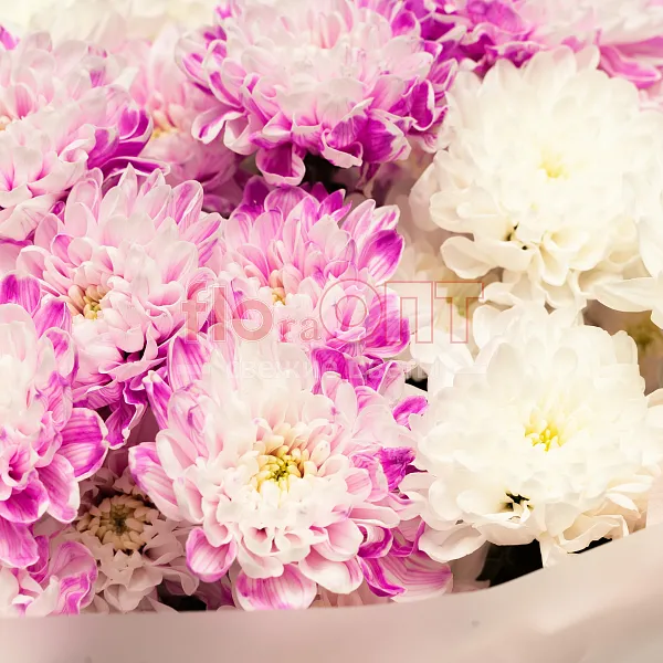 Букет № 528 с розовой хризантемой  — фото 5