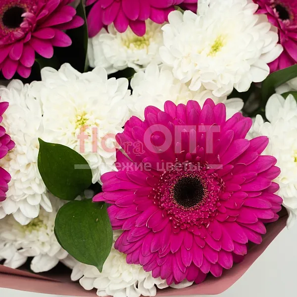 букет № 519 с герберами и хризантемой  — фото 4