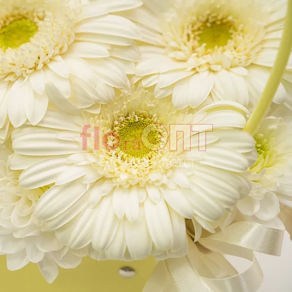 Композиция № 174 с белыми герберами  — фото 3