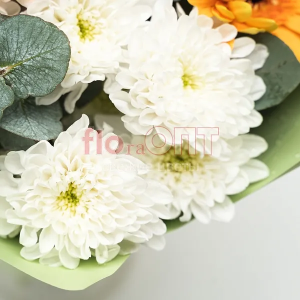 Букет № 523 с разноцветными герберами и хризантемой  — фото 5