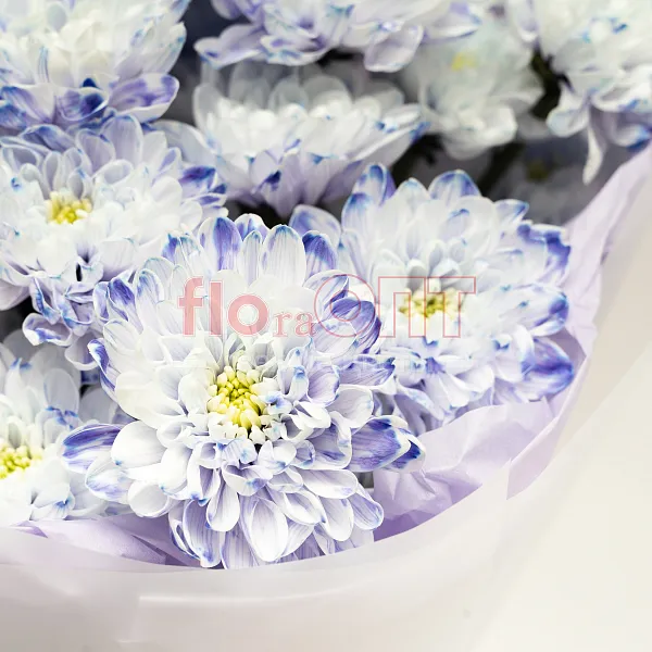 Букет № 530 с крашеной хризантемой  — фото 3