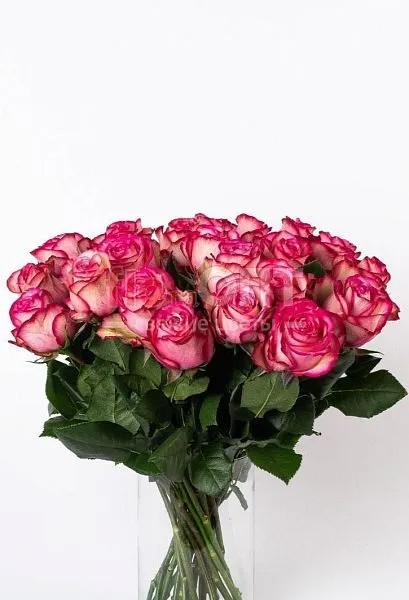 Роза Микс 50 см — фото 3