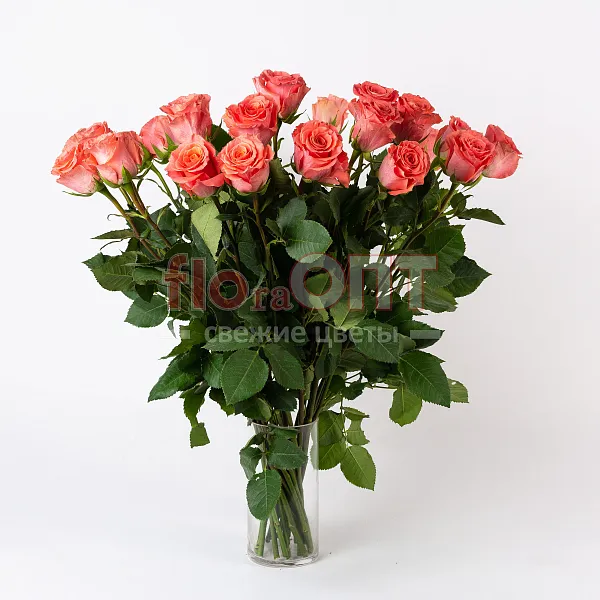 Роза Микс 70 см — фото 3