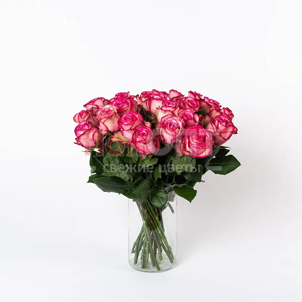 Роза Микс 50 см — фото 5