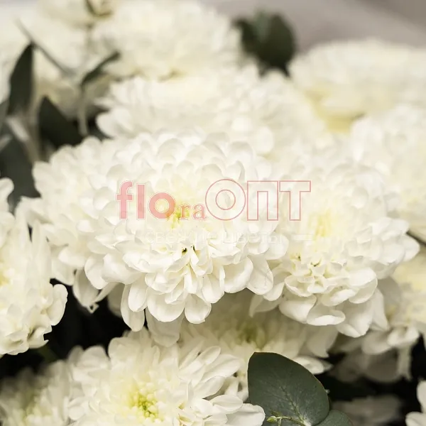 Букет № 498 с белой кустовой хризантемой  — фото 4