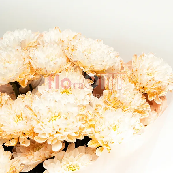 Букет № 534 с крашеной хризантемой  — фото 3