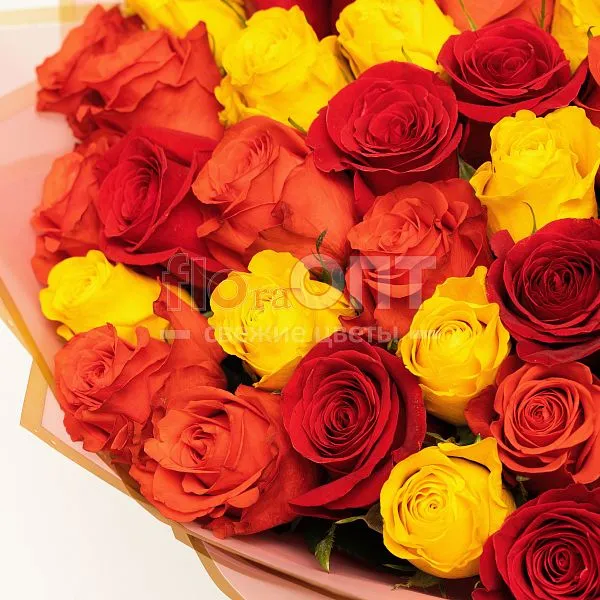 Букет №351 из 65 эквадорских роз — фото 3