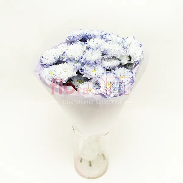 Букет № 530 с крашеной хризантемой  — фото 1