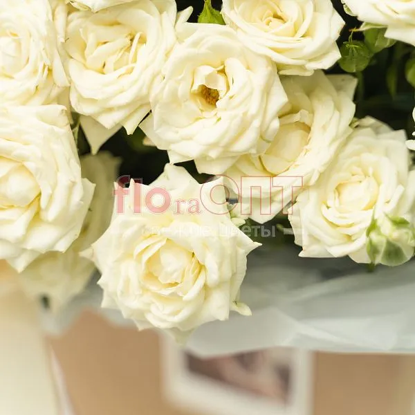 Композиция № 232 в крафтовой сумочке — фото 3