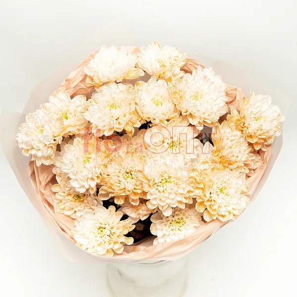 Букет № 534 с крашеной хризантемой  — фото 2