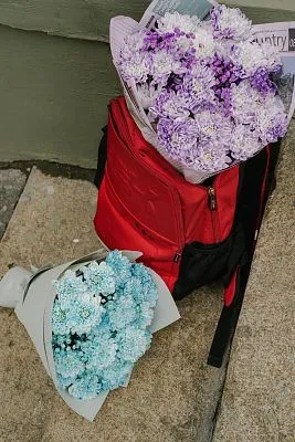 Букет МОНО №15 из голубой крашеной хризантемы и  гипсофилы — фото 4