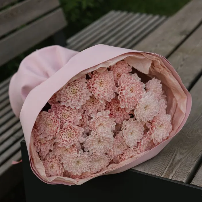 Букет Зефирка №15 из розовых крашеных хризантем — фото 19
