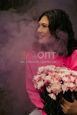 Хризантема крашеная Розовая — фото 4